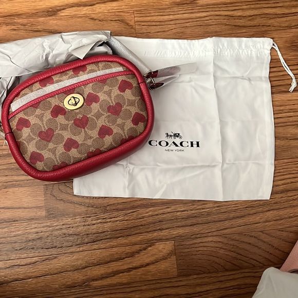 Coach camera bag hearts print from Valentine’s 2022 edition - Picture 9 of 13